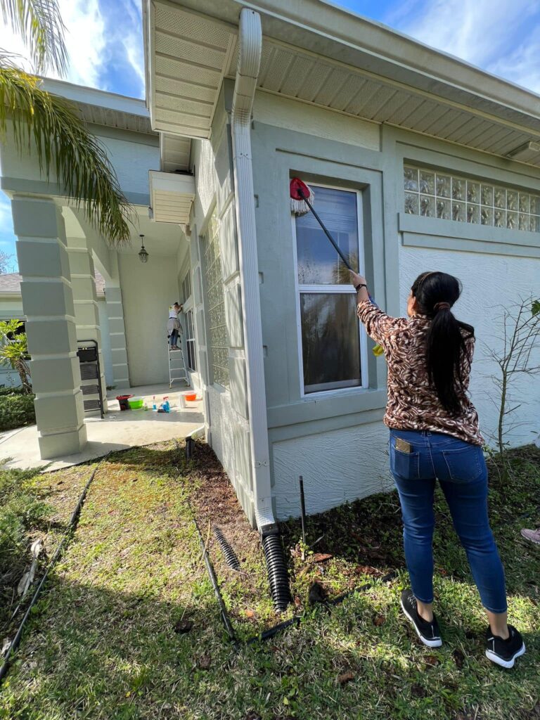 Professional Window Cleaning