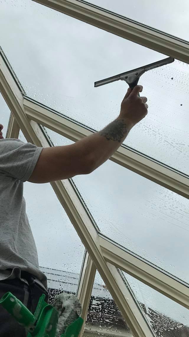 Window Cleaning Techniques